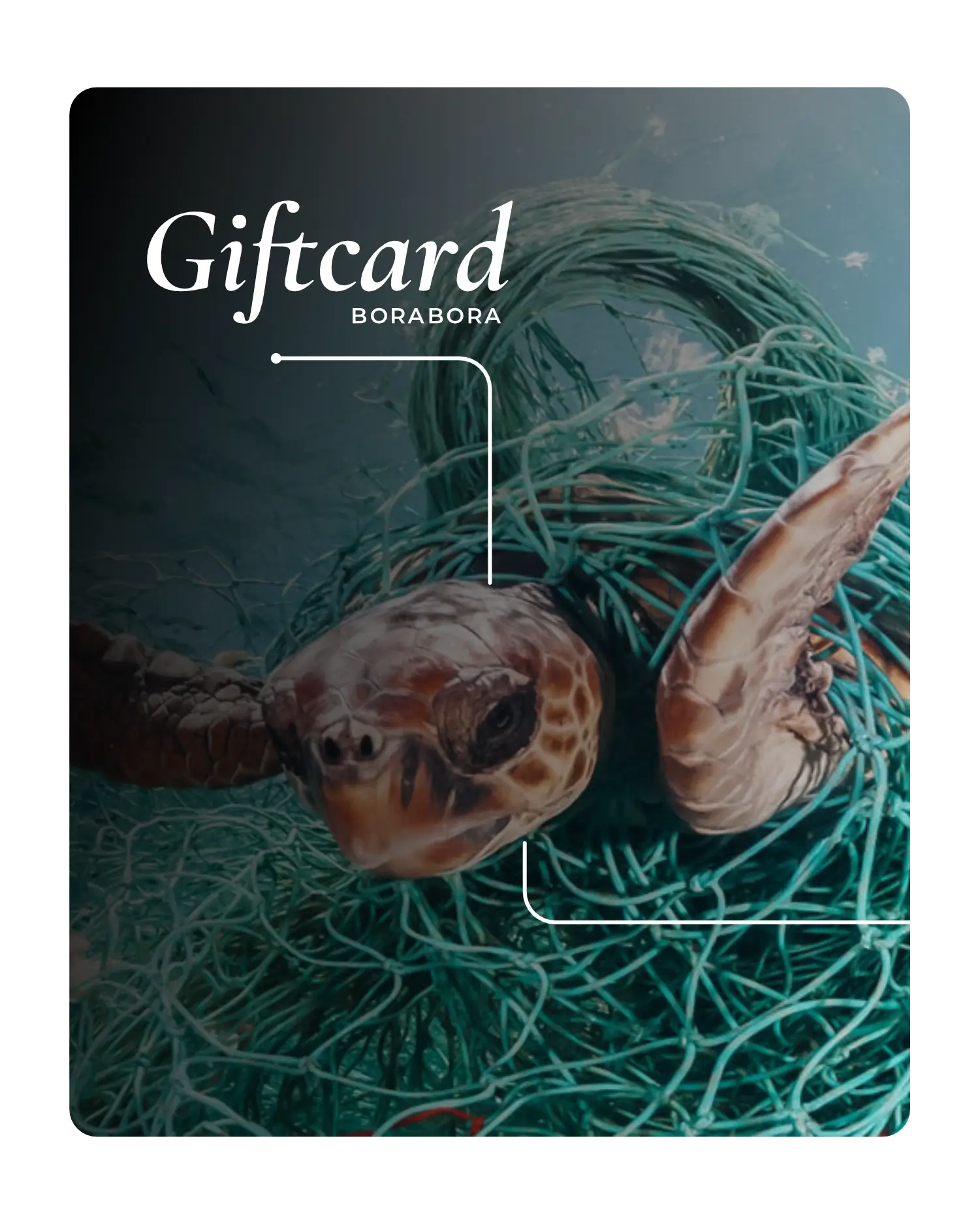 Gift Card Borabora